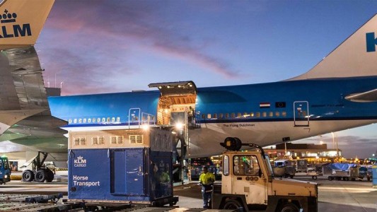 Video documento: así cargaron los 84 kilos de cocaína en el avión de Ezeiza