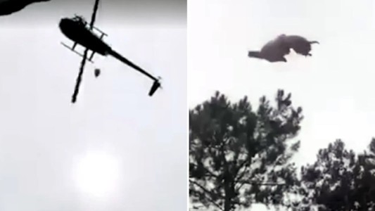 "Vengan a comer un cordero que va a caer del cielo": el mensaje de Lara Bernasconi a sus amigos