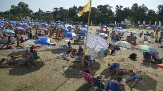 Peligro en el agua: palometas en el río Paraná atacaron a cinco bañistas