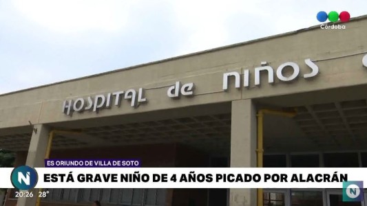 Está grave un niño de 4 años picado por un alacrán