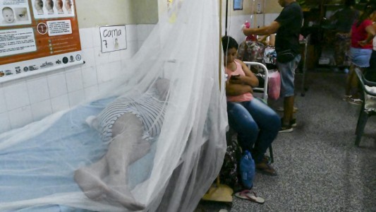 Una epidemia de dengue alerta a Paraguay y hasta se contagió el presidente