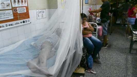 Preocupación en Argentina por el brote epidémico de dengue en Paraguay
