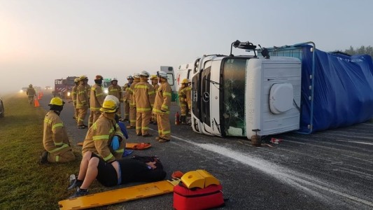 Toro suelto provoca triple accidente en la Ruta 2: hay heridos