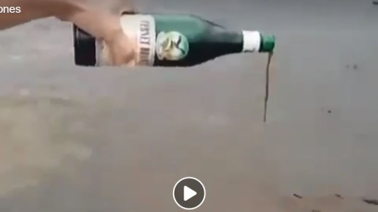 VIRAL: Mira como toman fernet los "peces" en el río