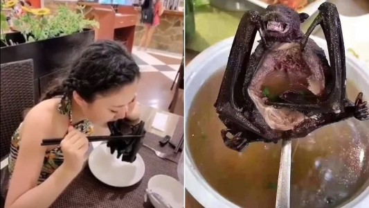 Video: una mujer se come un murciélago, pese a las alarmas por el coronavirus