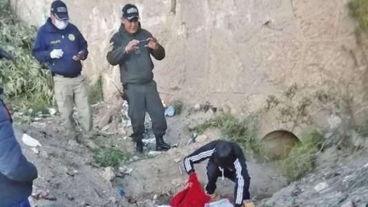 Una mujer asesinó a sus dos hijos "para vengarse" de su ex marido