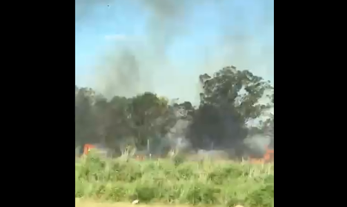 Video: fuego en los bosques de la entrada a Villa Gesell