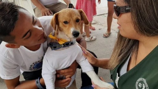 Perú: un niño de 13 años salvó a su perro de un incendio y terminó muriendo