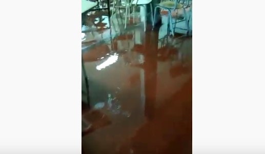 VIDEO: por las fuertes lluvias, se inundó la Universidad Nacional de Mar del Plata