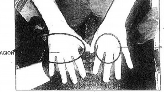 Todo los rugbiers tienen lesiones en manos y brazos compatibles con el ataque a Fernando