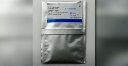Científicos argentinos desarrollaron un test que detecta el virus del dengue en 10 minutos
