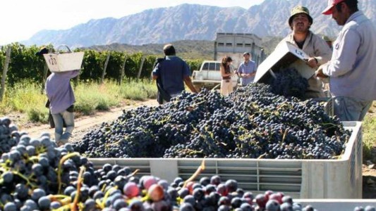 En La Rioja convocaron a 3.000 cosecheros, pero sólo hubo 3 consultas