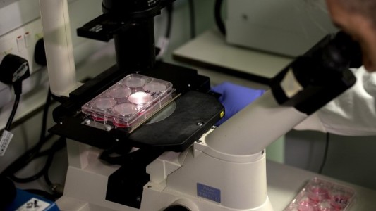 "Emocionante avance" en Israel: aseguran que tendrán la vacuna contra el coronavirus "en pocas semanas"