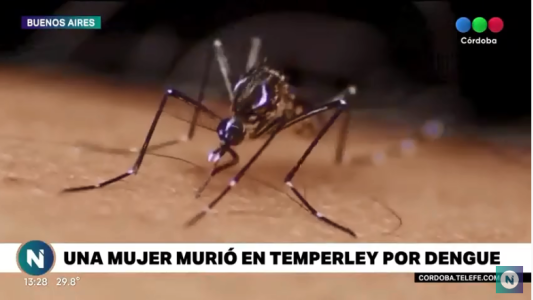 Dengue: una mujer murió  en Buenos Aires
