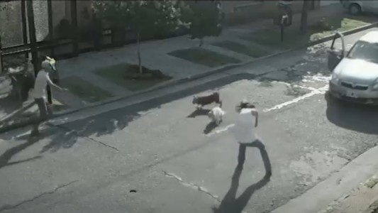 Inseguridad: le disparó porque arrojó el celular para que no le roben