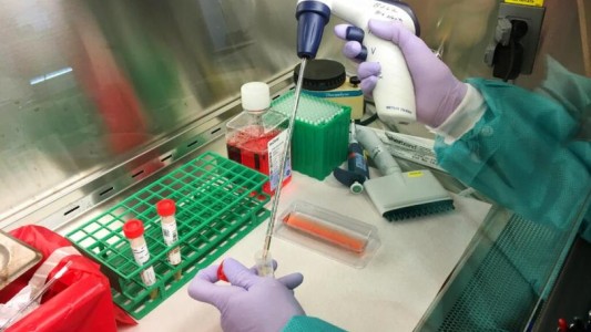 Coronavirus: aislaron en Iguazú a turista alemán con síntomas