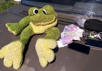 La Plata: usaban un peluche del Sapo Pepe para esconder droga y venderla