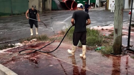 Video: Morón tuvo sus calles ensangrentadas por culpa de un frigorífico