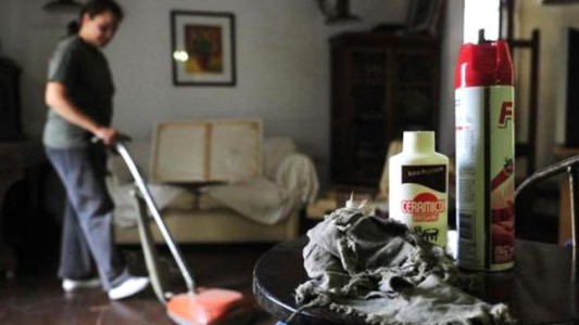 El Gobierno fijó un aumento de 10% para el personal doméstico