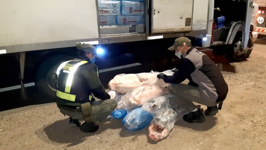 FOTOS: secuestran más de una tonelada de pescados transportados en camiones