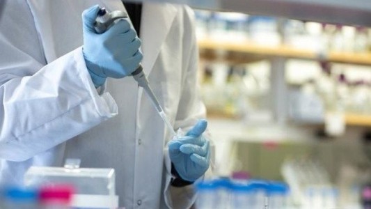 Coronavirus en Argentina: se realizarán testeos rápidos para detectar asintomáticos