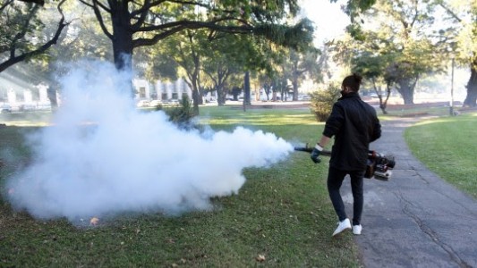 Rosario: confirman 566 casos de dengue