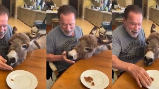 Arnold Schwarzenegger le festejó el cumple a su burra Lulu