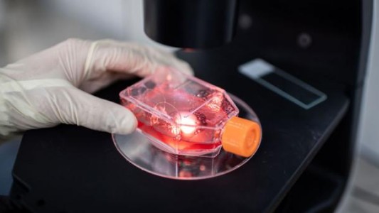 Hallaron coronavirus en el semen de pacientes infectados