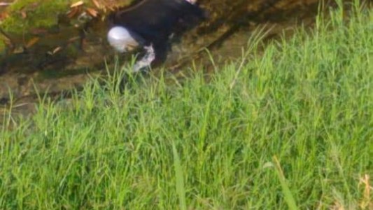 Tucumán: hacía malabarismos en las esquinas y apareció ahogado en un canal