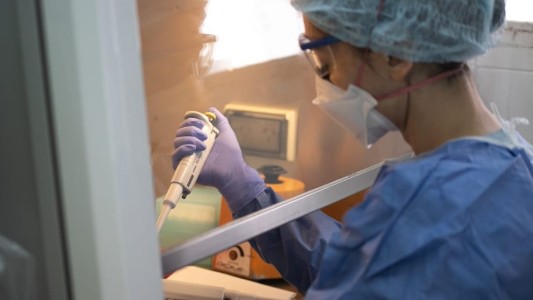 Coronavirus en Córdoba: 12 nuevos contagios hoy no hubo fallecidos