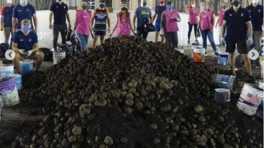 De jugar al rugby a convertirse en embolsadores de papas