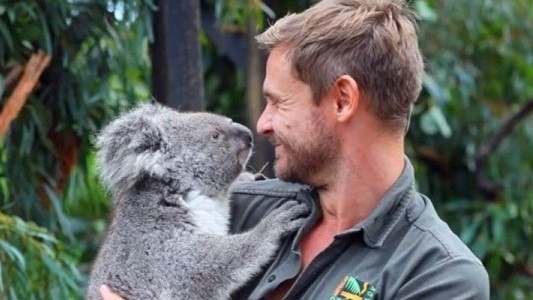 Hay esperanza: nació el primer koala en un parque australiano tras los incendios