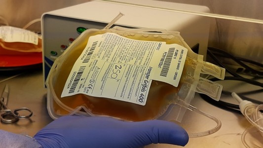 Porqué es fundamental y cómo se extrae el plasma para combatir al Covid-19