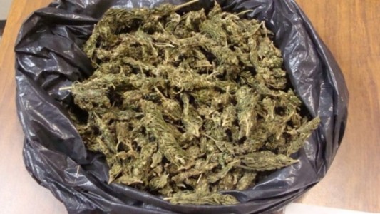 Condenaron a dos jóvenes que llevaban 5 kilos de marihuana para "consumo personal"