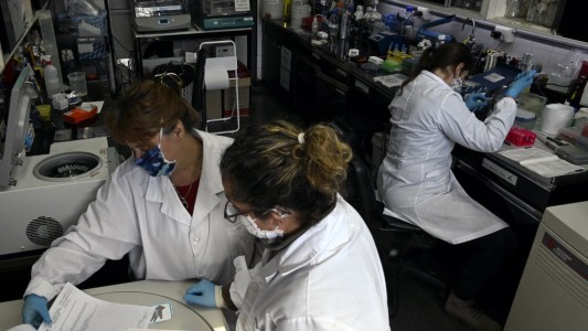 Las "domadoras" de virus en Argentina