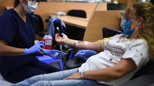 Mitos y verdades sobre la donación de sangre