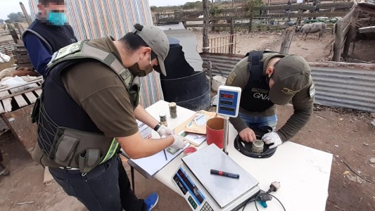 San Francisco: múltiples allanamientos y dos integrantes de una organización delictiva detenidos