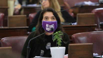 Video: una planta de marihuana en la Cámara de Diputados de Santa Fe