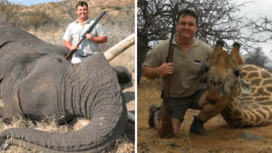 Nombraron en el área de Conservación a un cazador de grandes animales salvajes