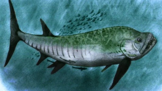 Hallaron los restos de un pez gigante en un lago de la Patagonia