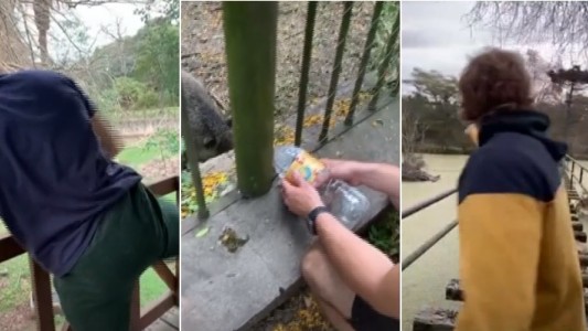 La Plata: Municipio demandará a youtubers que irrumpieron en el Bioparque