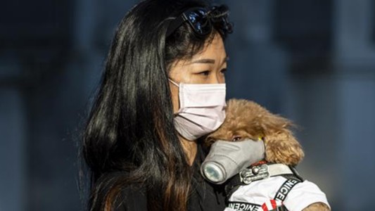 Hong Kong vuelve a cerrar las escuelas por un rebrote de coronavirus