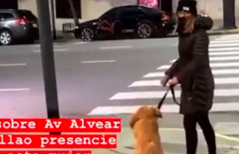 Video: escracharon a una mujer que golpeó a su perro en una esquina porteña