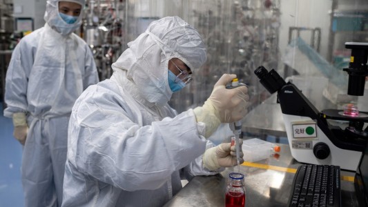 Coronavirus: dos vacunas generaron "fuerte respuesta inmunitaria"