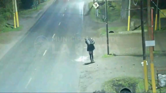 Intentó robar un televisor y llevárselo al hombro, pero lo detuvieron in fraganti