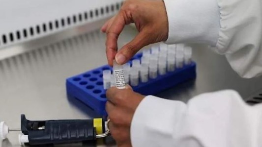 Un estudio indica que el Covid-19 muta para que las células no lo reconozcan