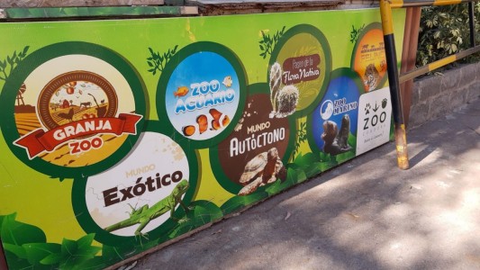 Nuevamente polémica por el estado de los animales en el Zoo Córdoba