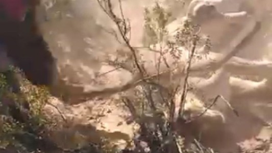 Video: cazaron a puma a palazos y subieron las imágenes a las redes sociales