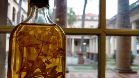 ¿Cómo nace el ritual de beber caña con ruda el 1 de agosto?