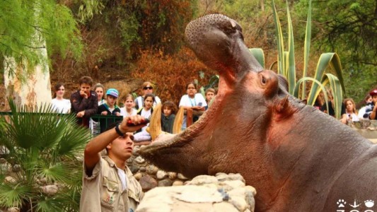 Hoy hasta los monos son municipales: fin a la concesión del zoológico, que pasó al municipio